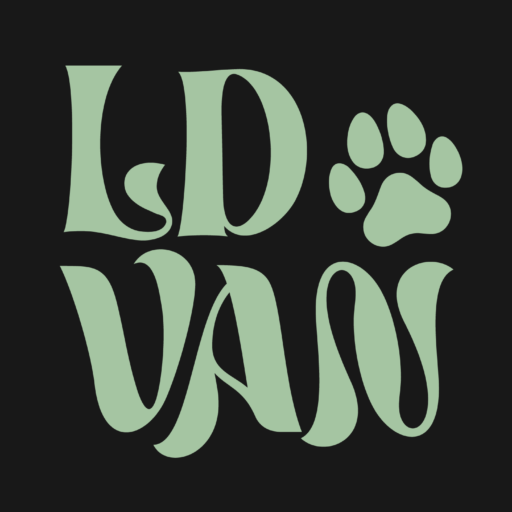 La DonyasVan · L2 H2