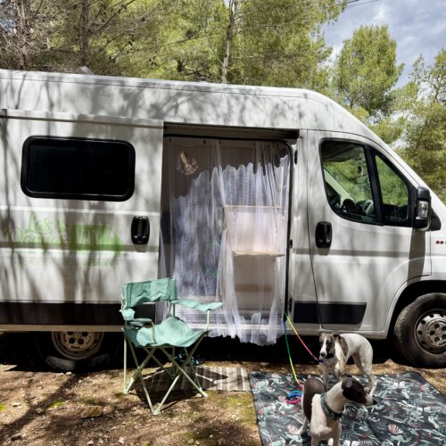 Mini DonyasVan - L1H2